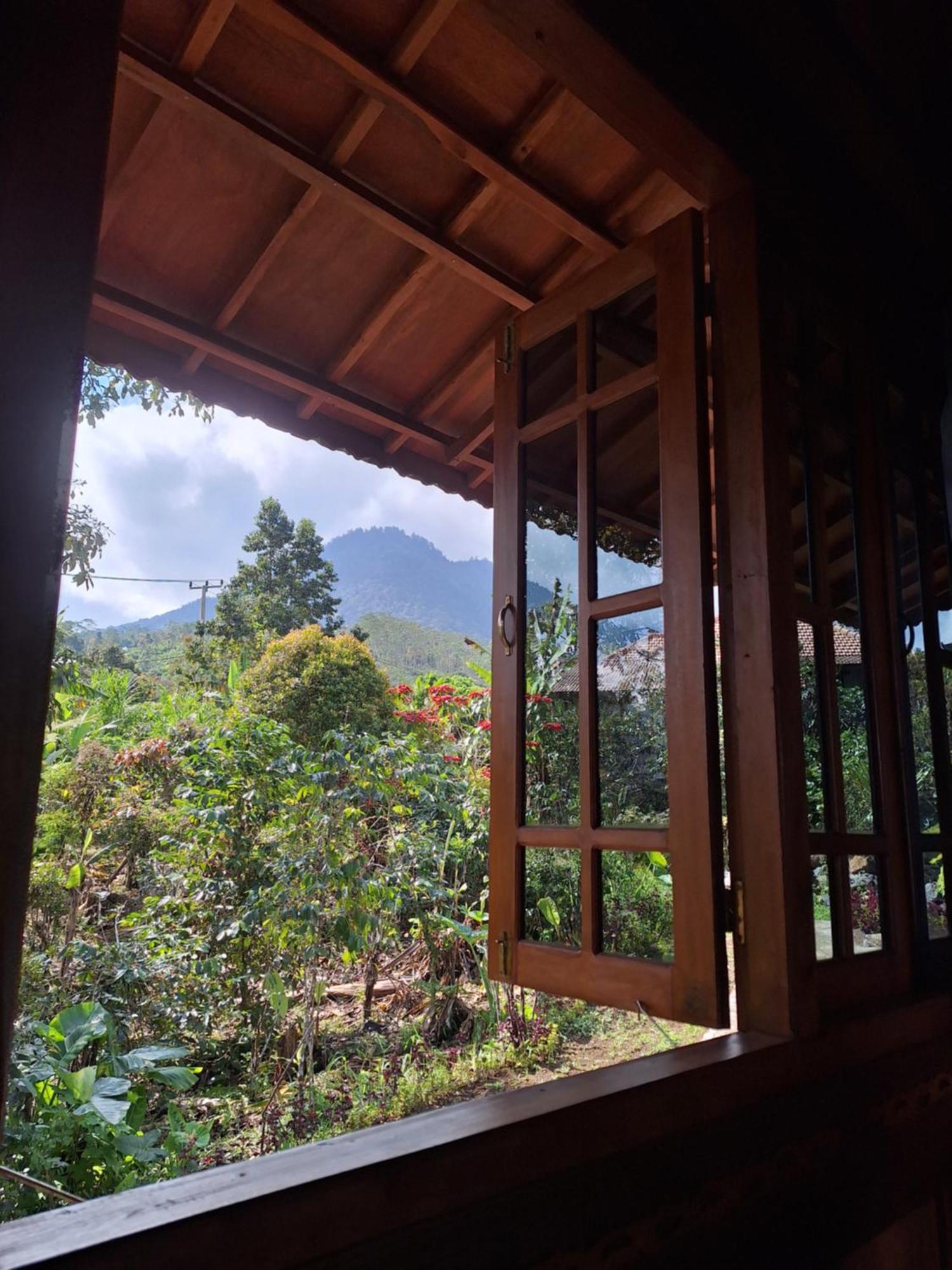 Manigelang Villa Munduk Cameră foto
